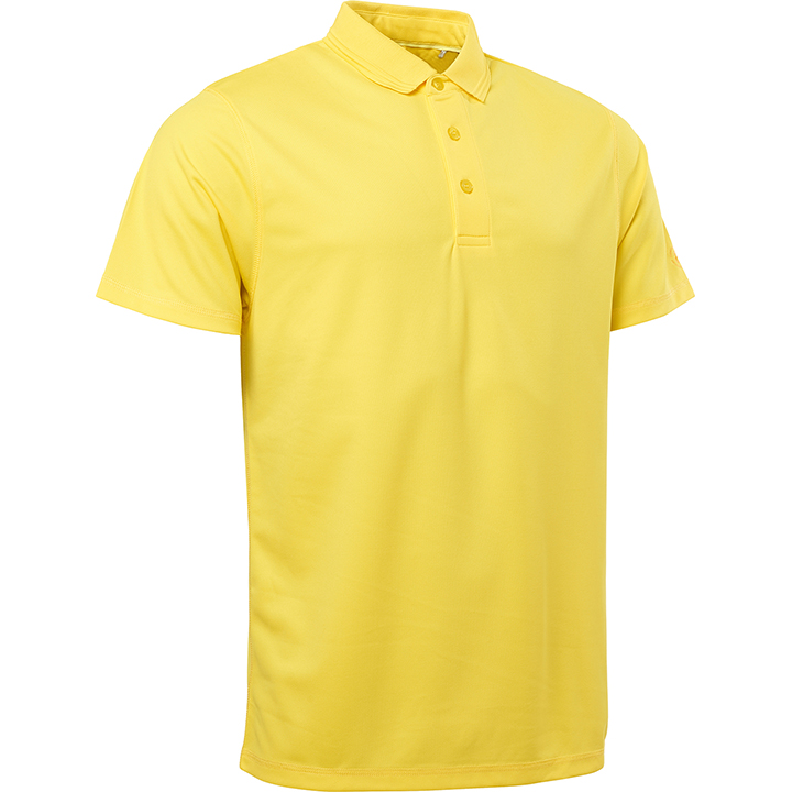 Clark polo - gul i gruppen HERR / Alla herrkläder hos Abacus Sportswear (6614200)