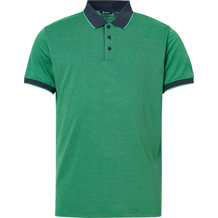 Mens Rich polo - fairway in the group MEN / All clothing at Abacus Sportswear (6705504)