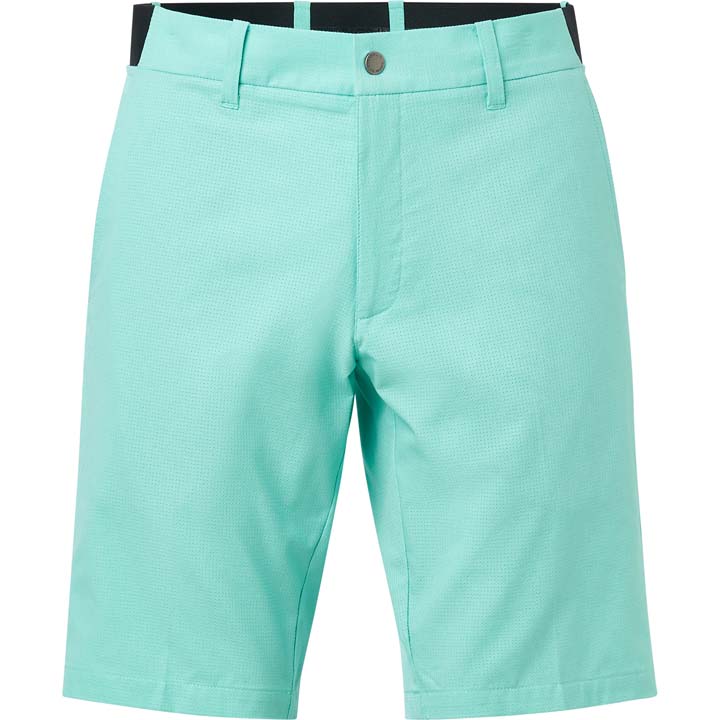 Huntingdale shorts - aloe i gruppen HERR / Alla herrkläder hos Abacus Sportswear (6892501)