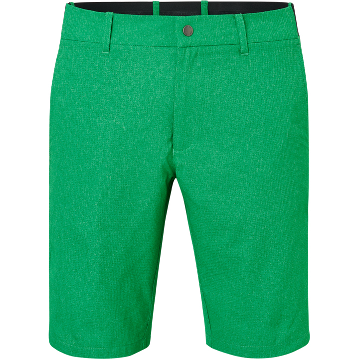 Men Huntingdale shorts - fairway in the group MEN / All clothing at Abacus Sportswear (6892504)