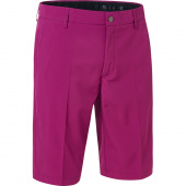 Trenton shorts - grape